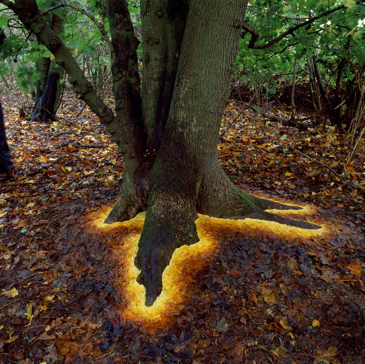 Inspired by the work of Andy Goldsworthy
