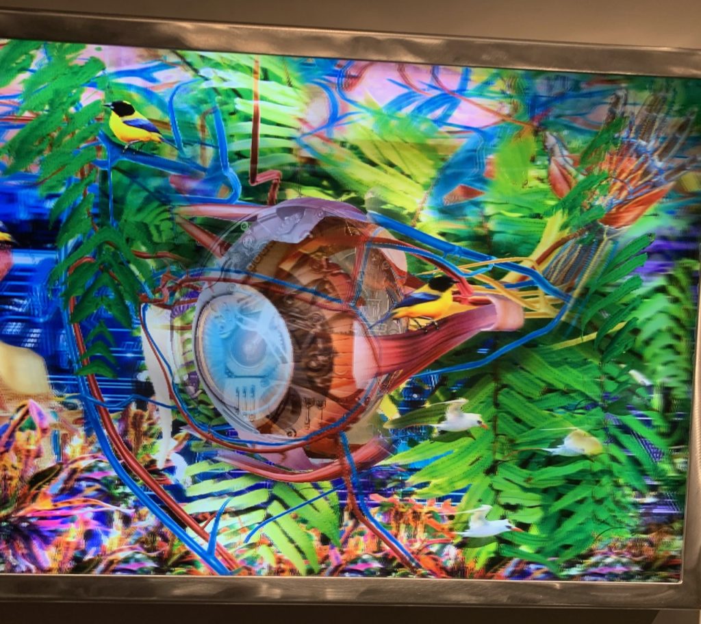a Lenticular painting of the human eye